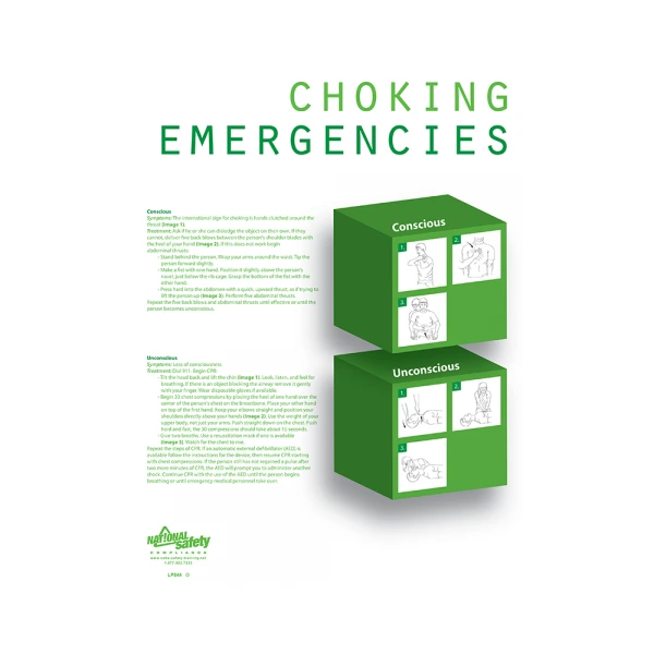 Choking Emergencies Information Poster