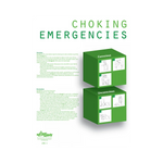 Choking Emergencies Information Poster