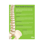 Back Health & Exercises Safety Poster