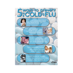 Prevent Cold and Flue Safety Poster