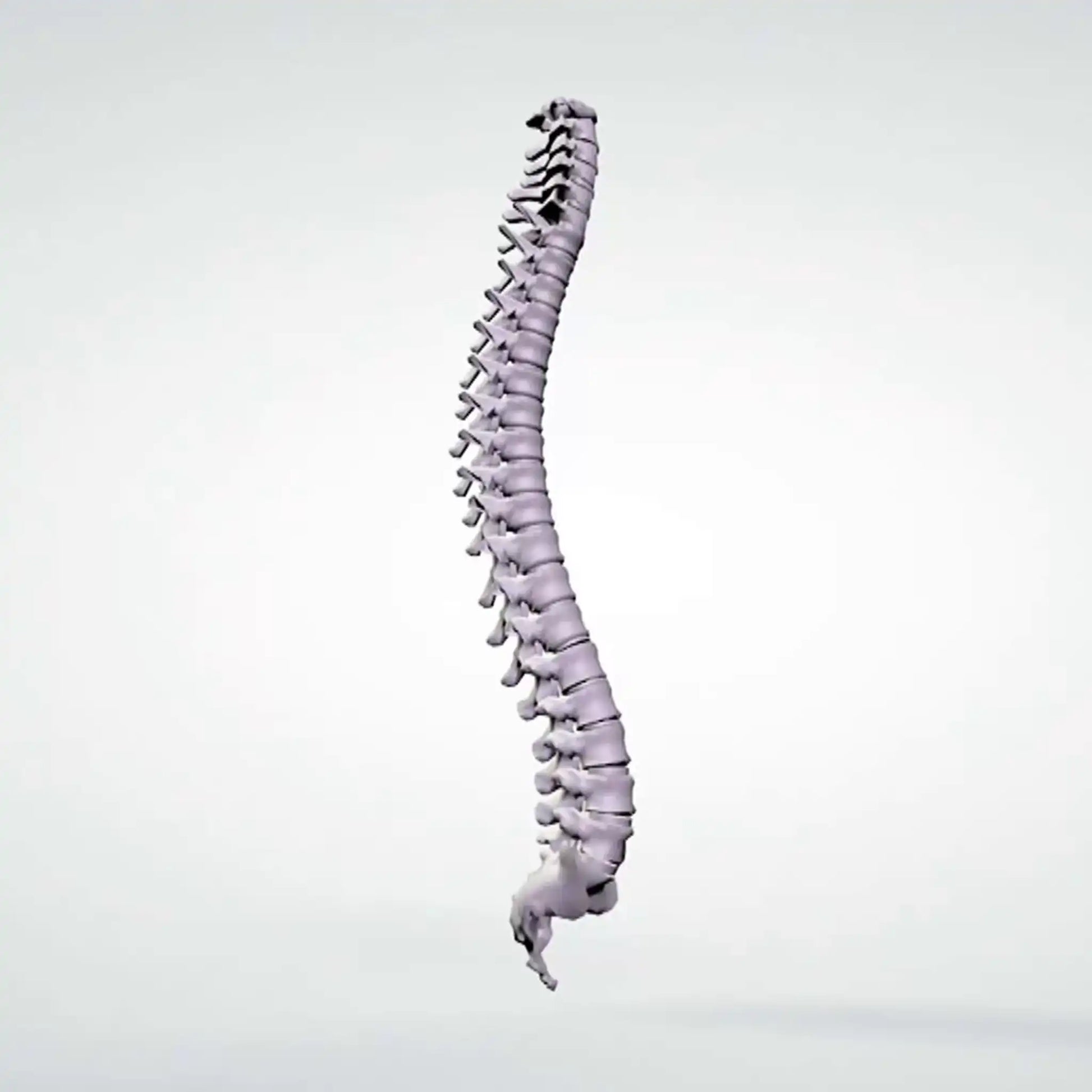 Back Safety Streaming Spine