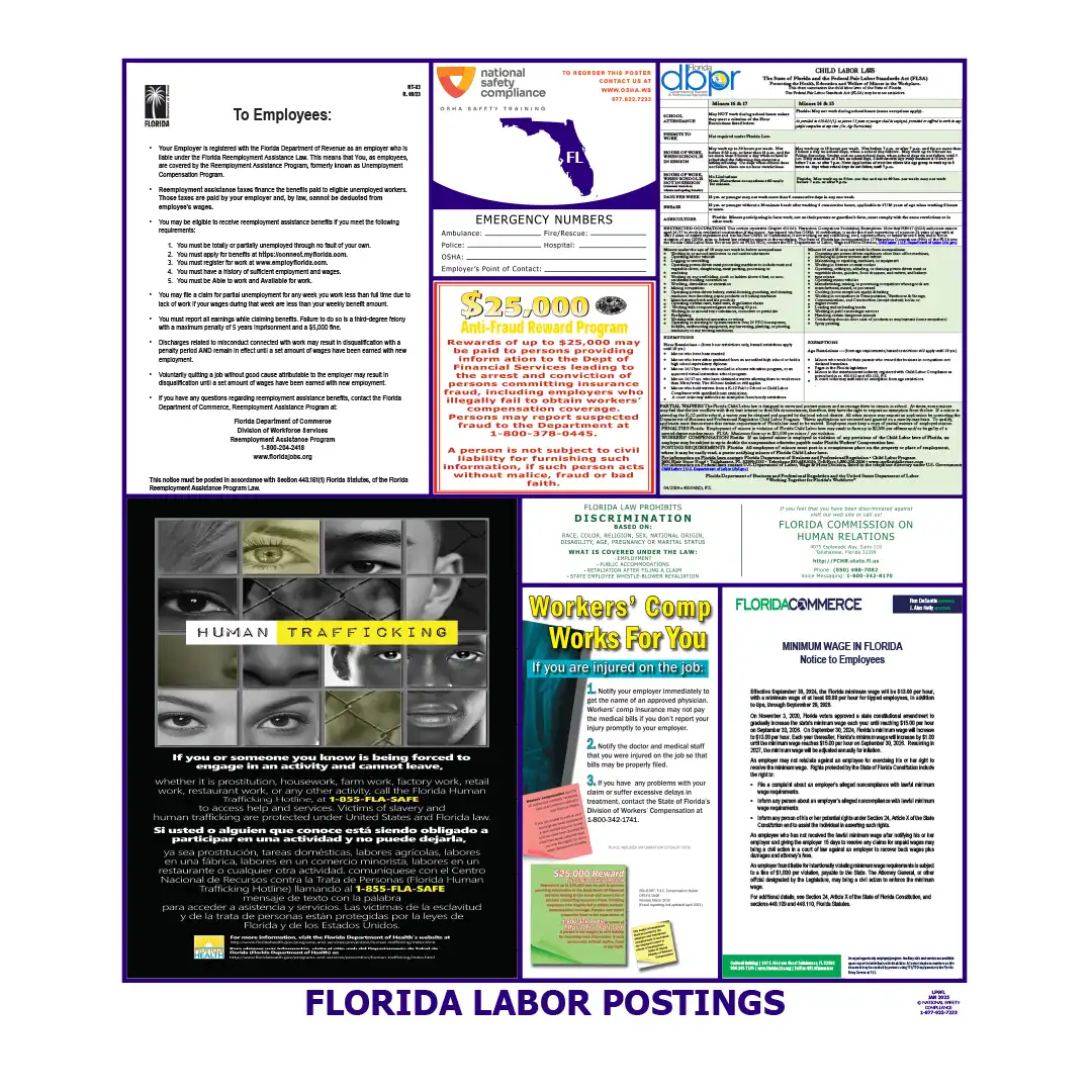 Florida Labor Law Poster English