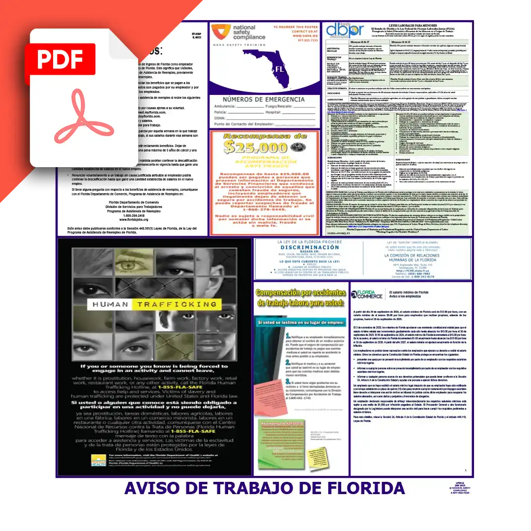Florida Spanish Labor Law Poster PDF Download