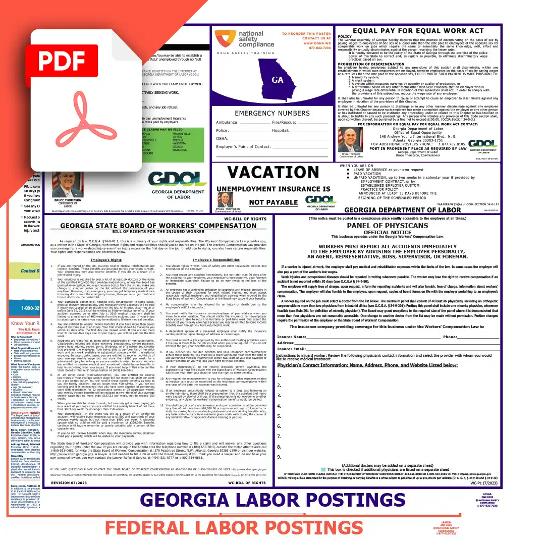 Georgia & Federal Labor Law Posters PDF Download
