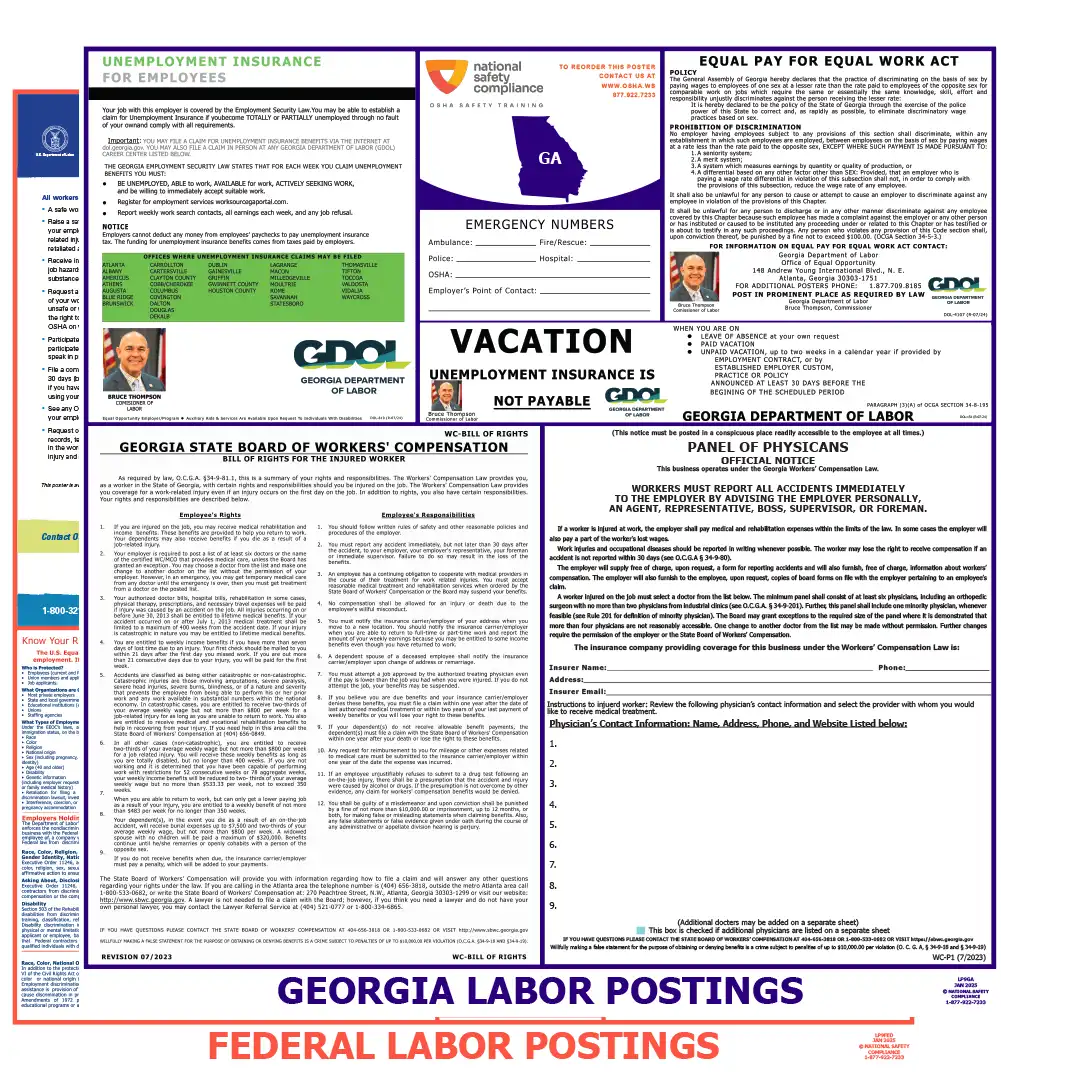 Georgia & Federal Labor Law Poster English