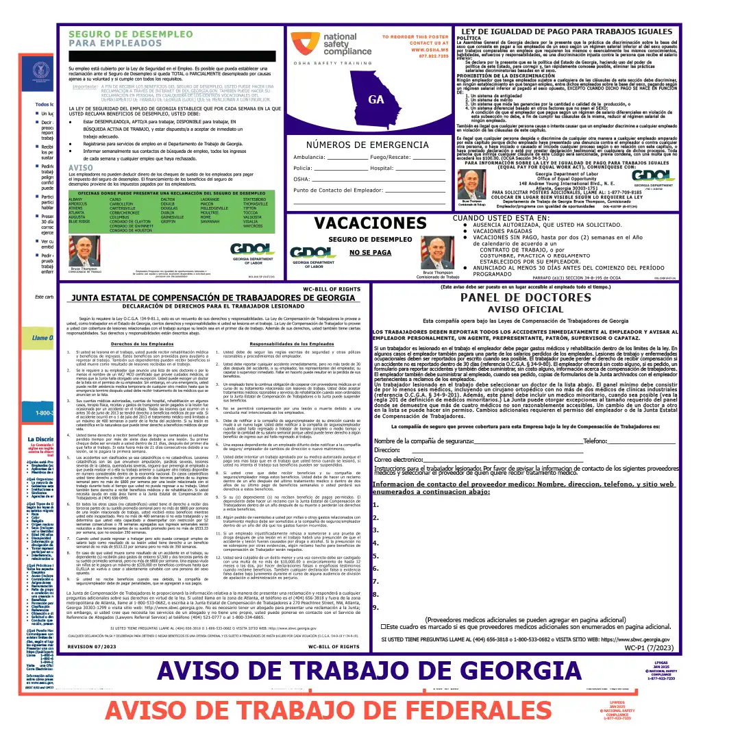 Georgia & Federal Labor Law Poster Spanish