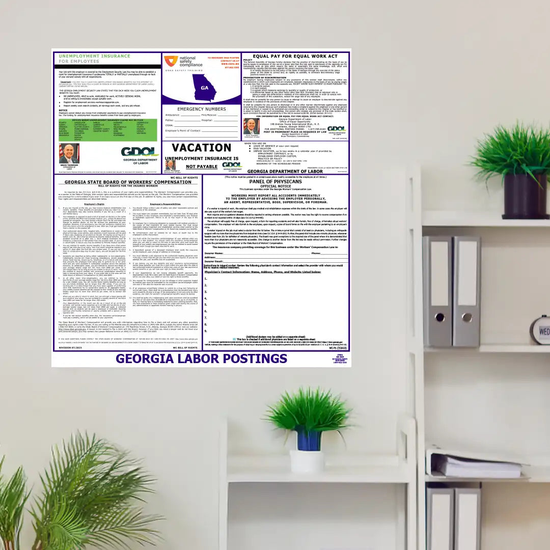 Georgia Labor Law Poster in room