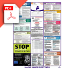 Maine Labor Law Posters PDF Download