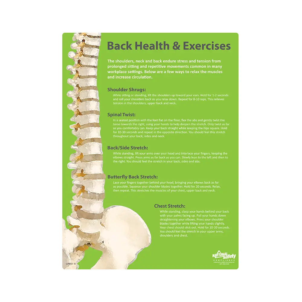 Back Health & Exercises Safety Poster