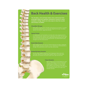 Back Health & Exercises Safety Poster