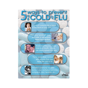 Prevent Cold and Flue Safety Poster