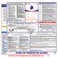 Alaska & Federal Labor Law Poster Spanish