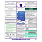 Arizona Labor Law Poster English