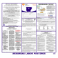 Arkansas Labor Law Poster English