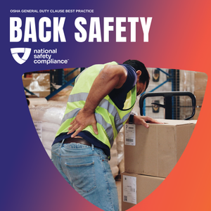 Back Safety Training hero image