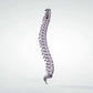 Back Safety Streaming Spine