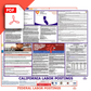 California & Federal Labor Law Poster PDF Download
