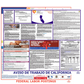 California & Federal Labor Law Poster Spanish
