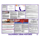 California Labor Law Poster English