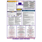 Colorado Labor Law Poster English
