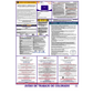 Colorado Labor Law Poster Spanish