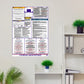 Colorado Labor Law Poster English