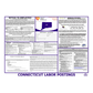 Connecticut Labor Law Poster English