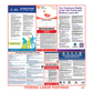 Federal Labor Law Poster