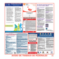 Federal Labor Law Poster in Spanish
