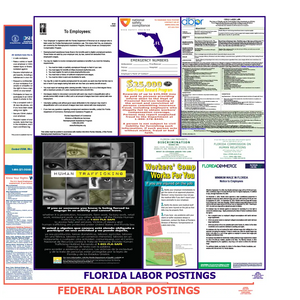 Florida & Federal Labor Law Poster Engish