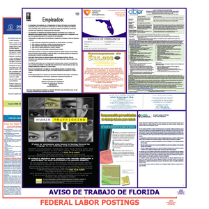Florida & Federal Labor Law Poster Spanish