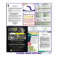 Florida Labor Law Poster English