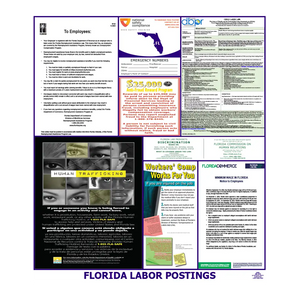 Florida Labor Law Poster English