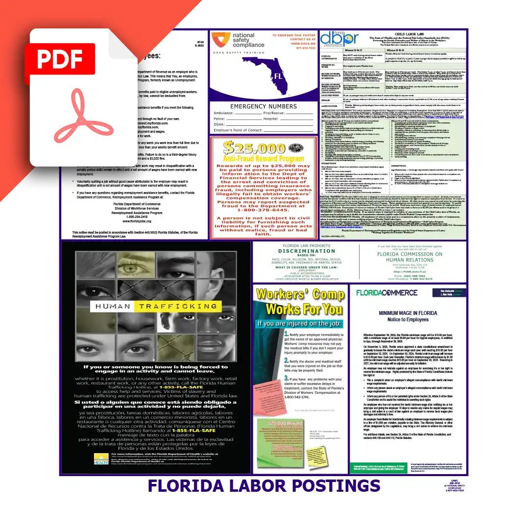 Florida Labor Law Poster PDF Download