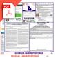 Georgia & Federal Labor Law Posters PDF Download