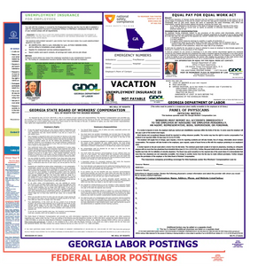 Georgia & Federal Labor Law Poster English