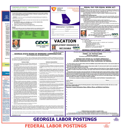 Georgia & Federal Labor Law Poster English