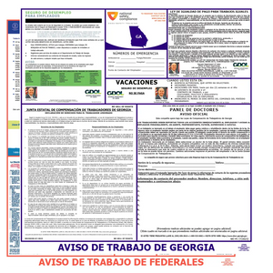 Georgia & Federal Labor Law Poster Spanish
