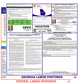 Georgia Labor Law Poster English