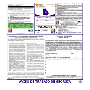Georgia Labor Law Poster Spanish