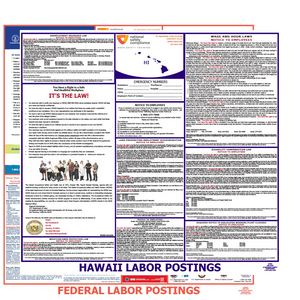 Hawaii & Federal Labor Law Poster English
