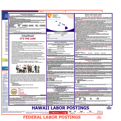 Hawaii & Federal Labor Law Poster English