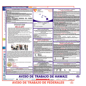 Hawaii & Federal Labor Law Poster Spanish