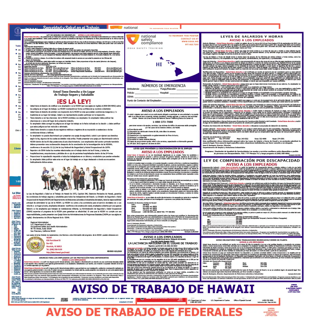 Hawaii & Federal Labor Law Poster Spanish