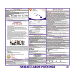 Hawaii Labor Law Poster English