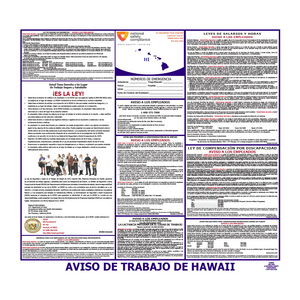 Hawaii Labor Law Poster Spanish