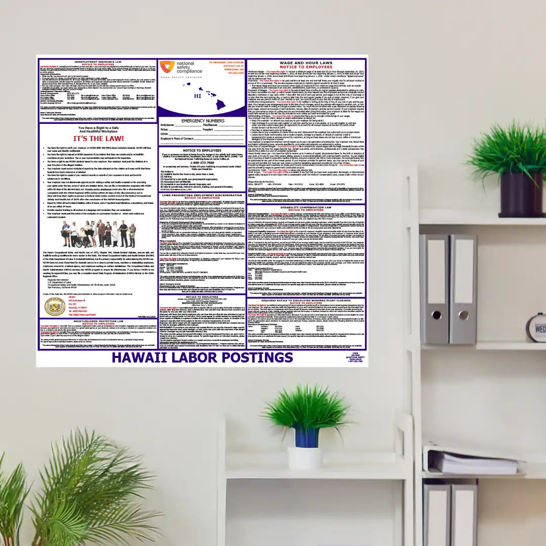 Hawaii Labor Law Poster in room