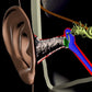 Hearing Conservation Streaming Ear Anatomy