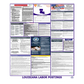 Louisiana Labor Law Poster English