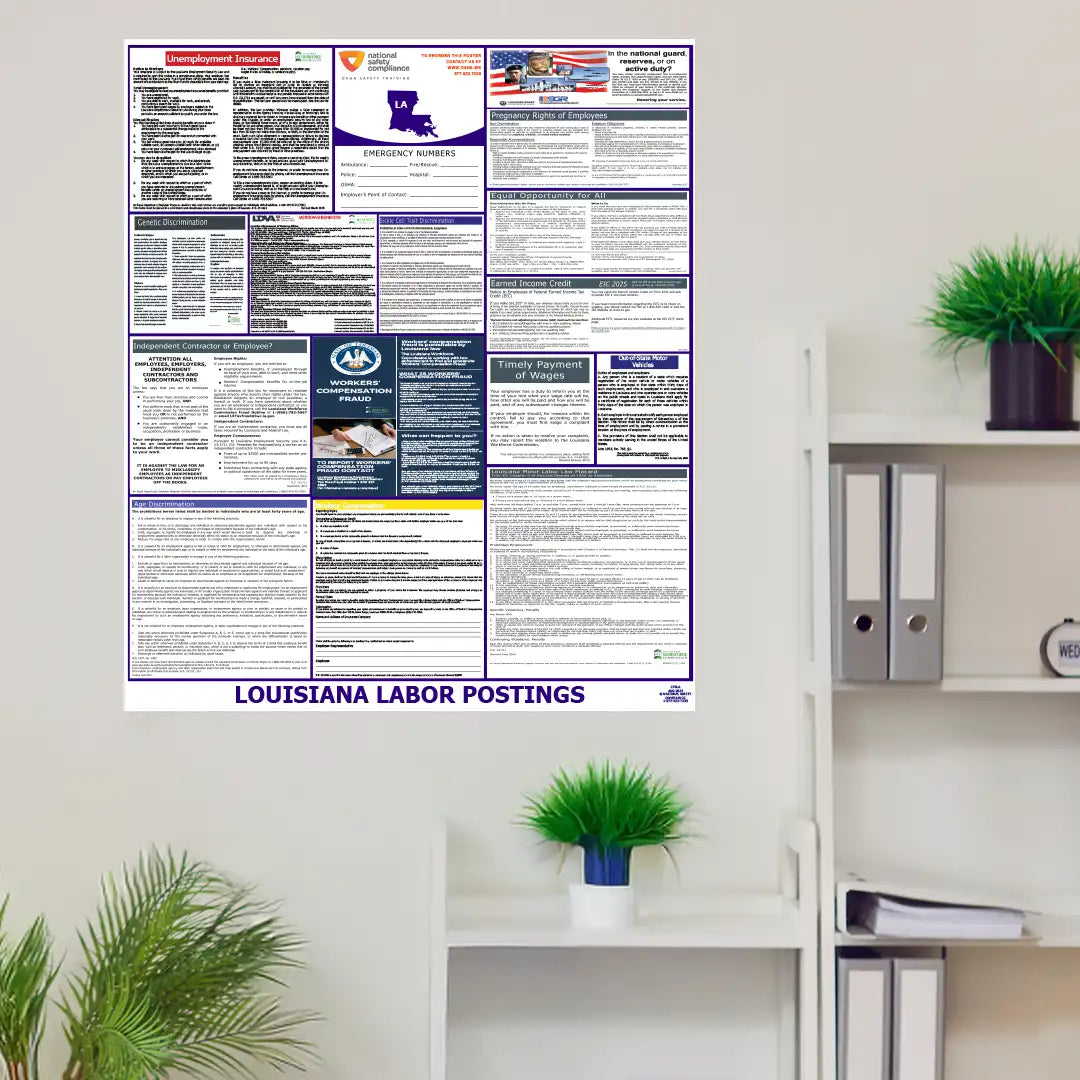 Louisiana Labor Law Poster in room